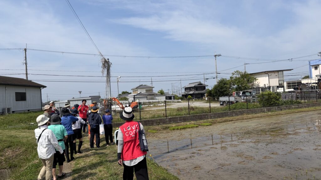 2026年夏日の出みりん田植えイベント　田植え