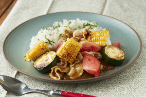 速攻夏野菜和風カレー